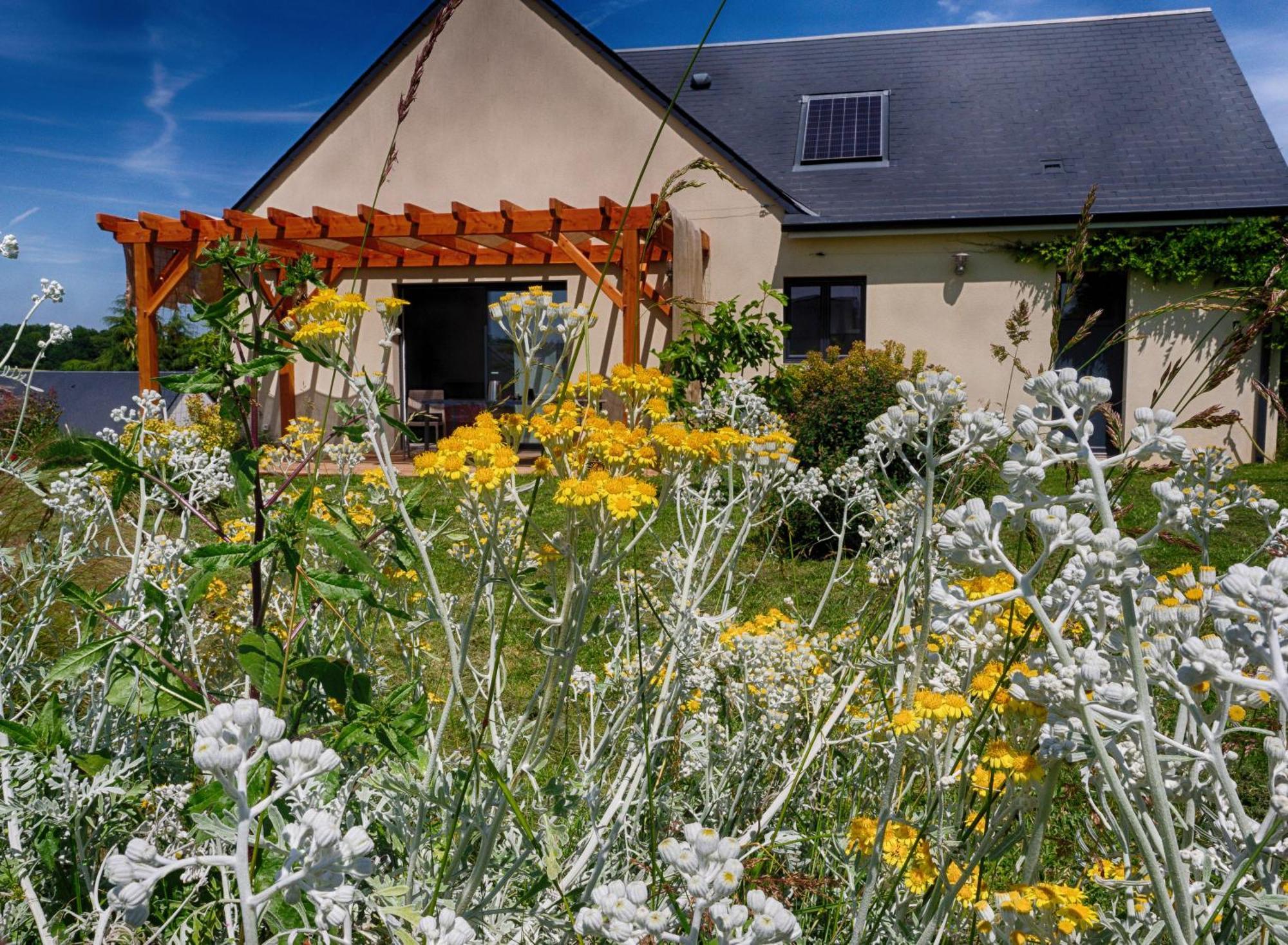 Le Logis D'Emeric Avec Paisible Jardin Clos&Arbore Loches Exteriör bild